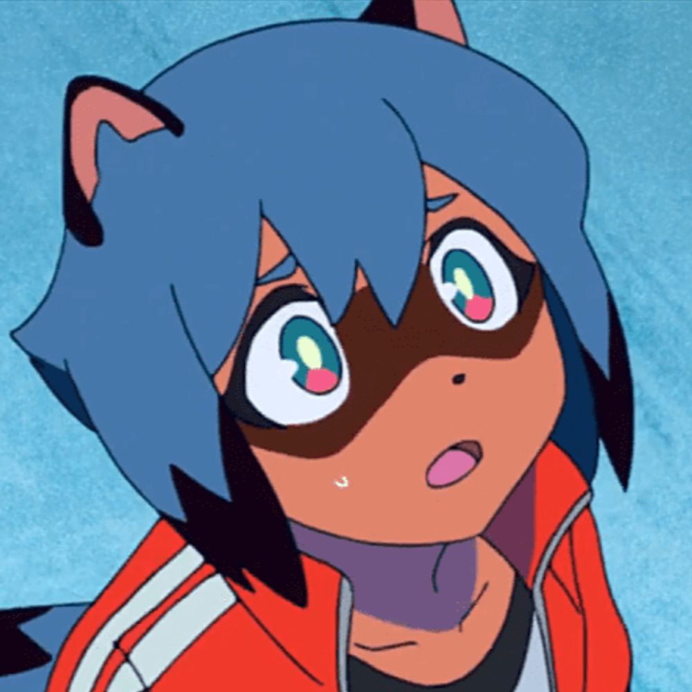 The Raccoon