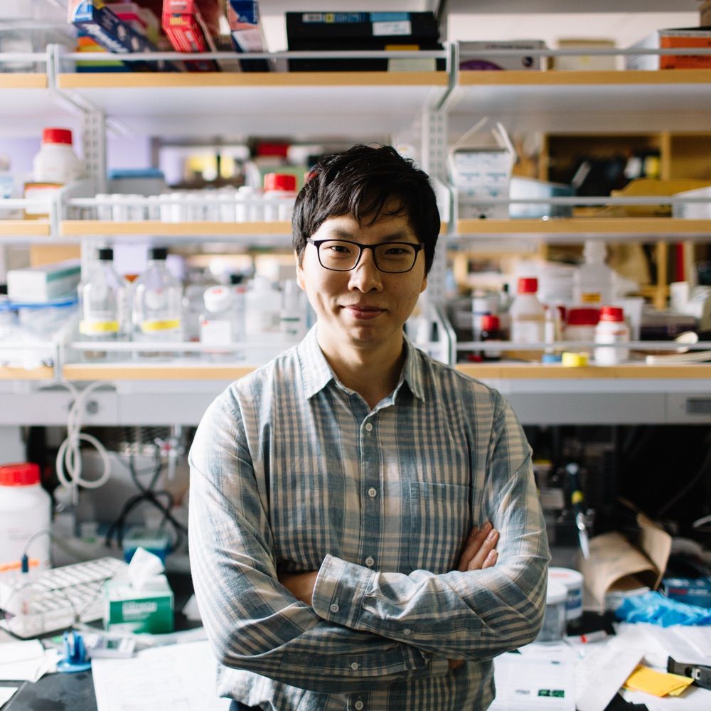 Dong-Wook Kim