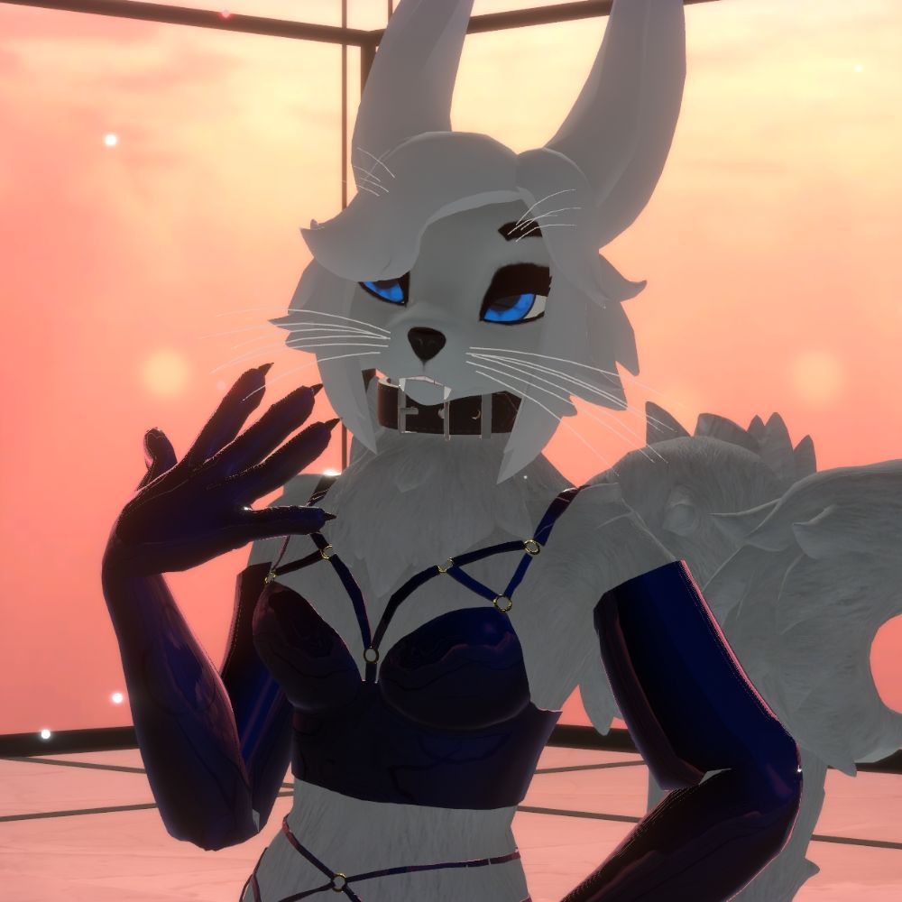 Sebastian the fennec