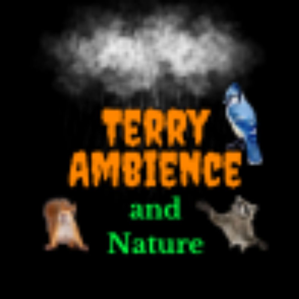 Terry Ambience and Nature Videos