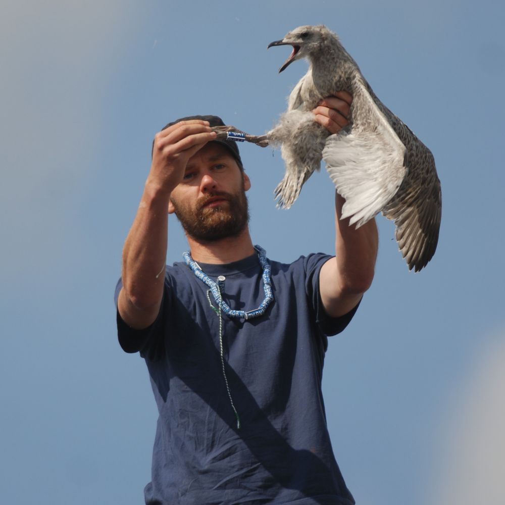 Belgian Birder