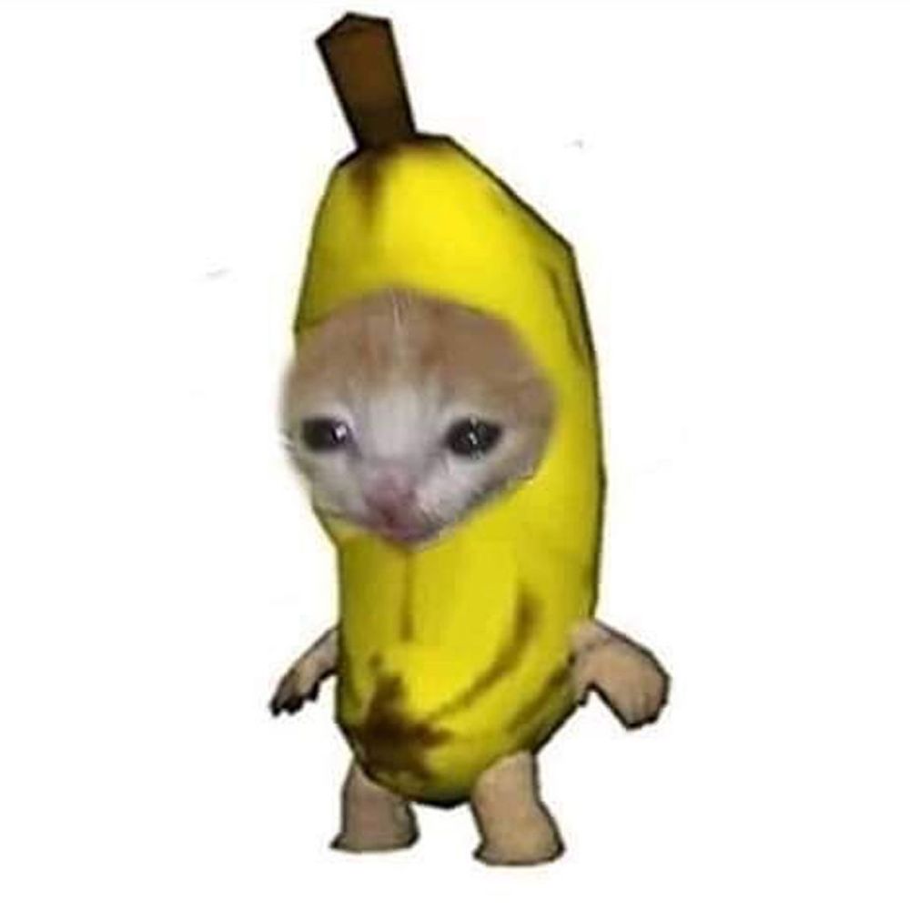 개박하