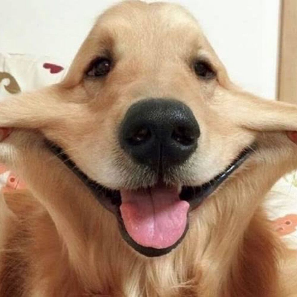 Simplyhappy
