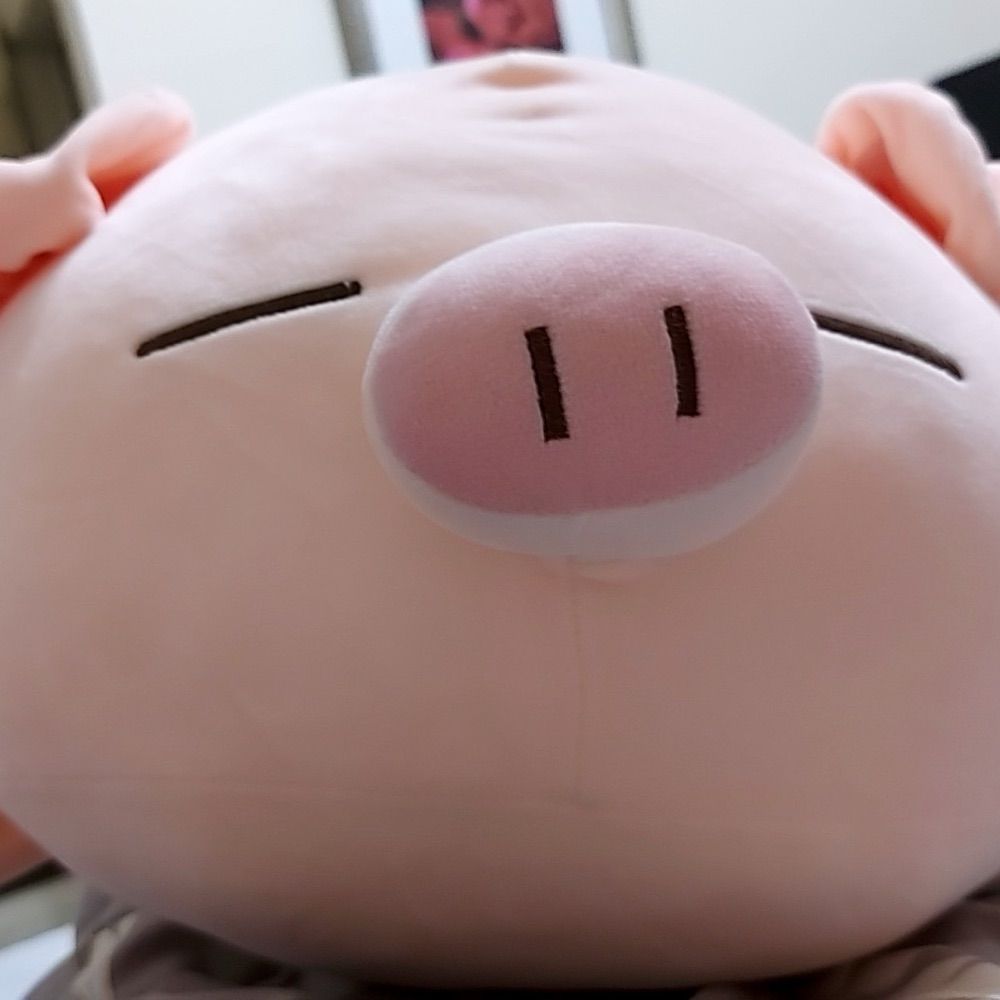 雷夢🐽