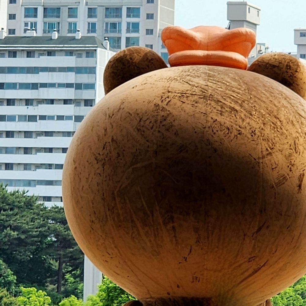 입성한 토끼