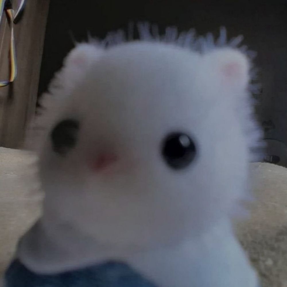 Panegace 