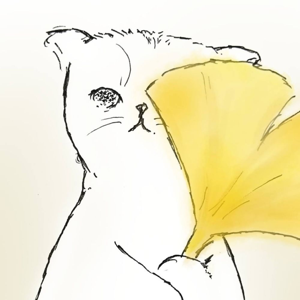 dodo