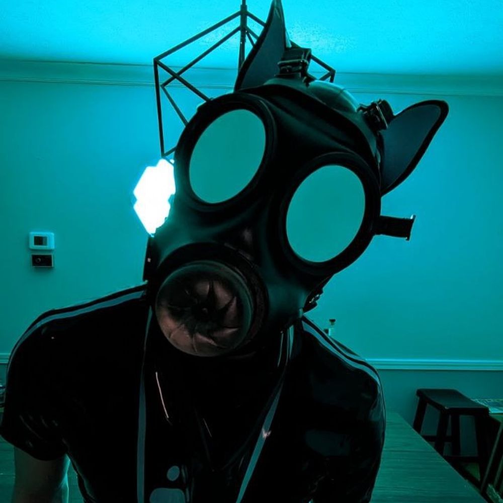 Pup Zipper (née Artemis)