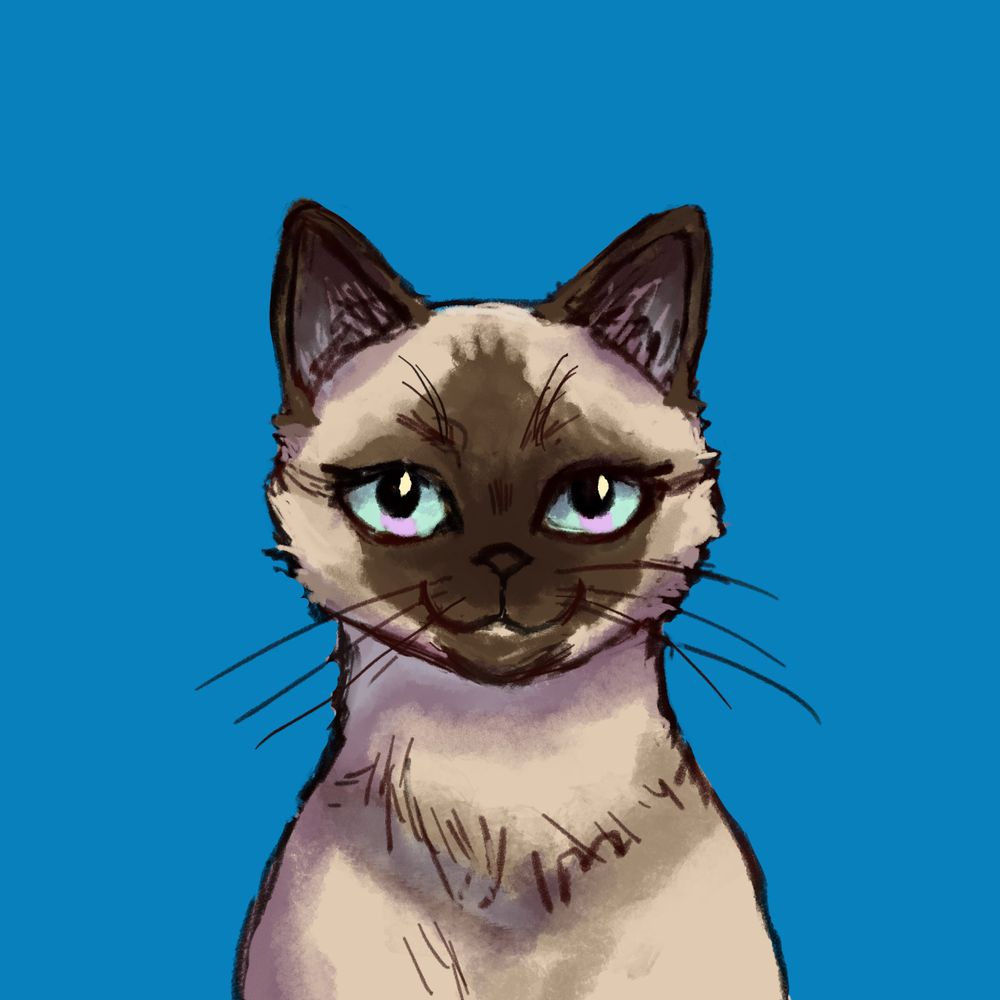 Chvbbykat 