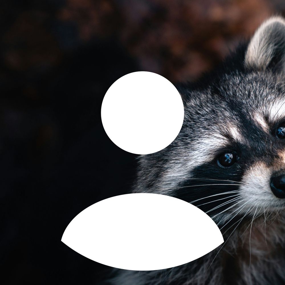 trash rat 🦝