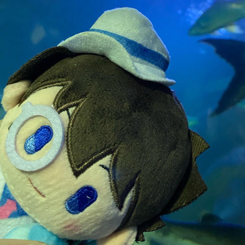 BlueSherry