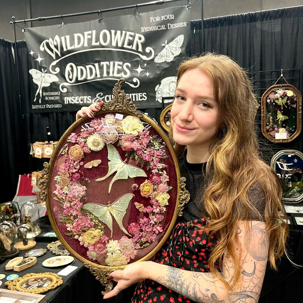 Wildflower Oddities