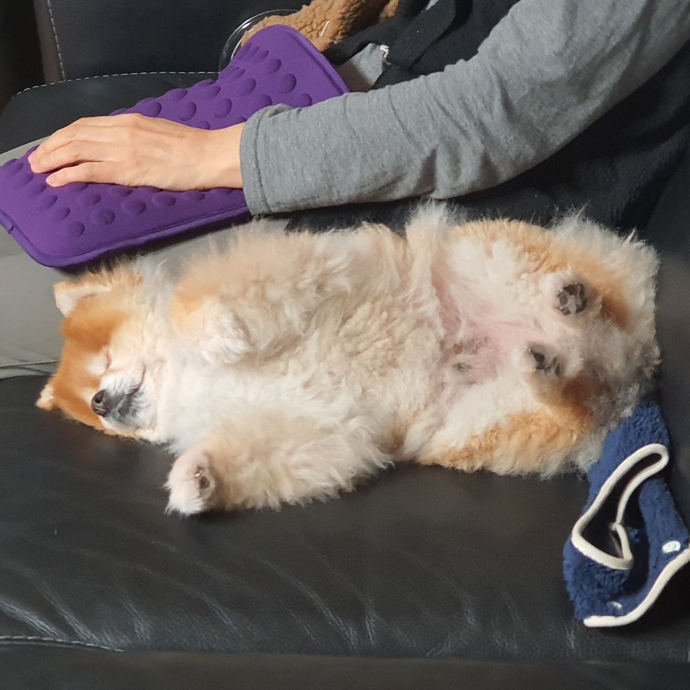 오동통개살꿀떡