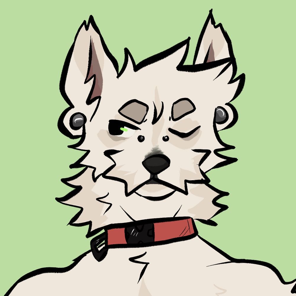 Shay ⌢🌿