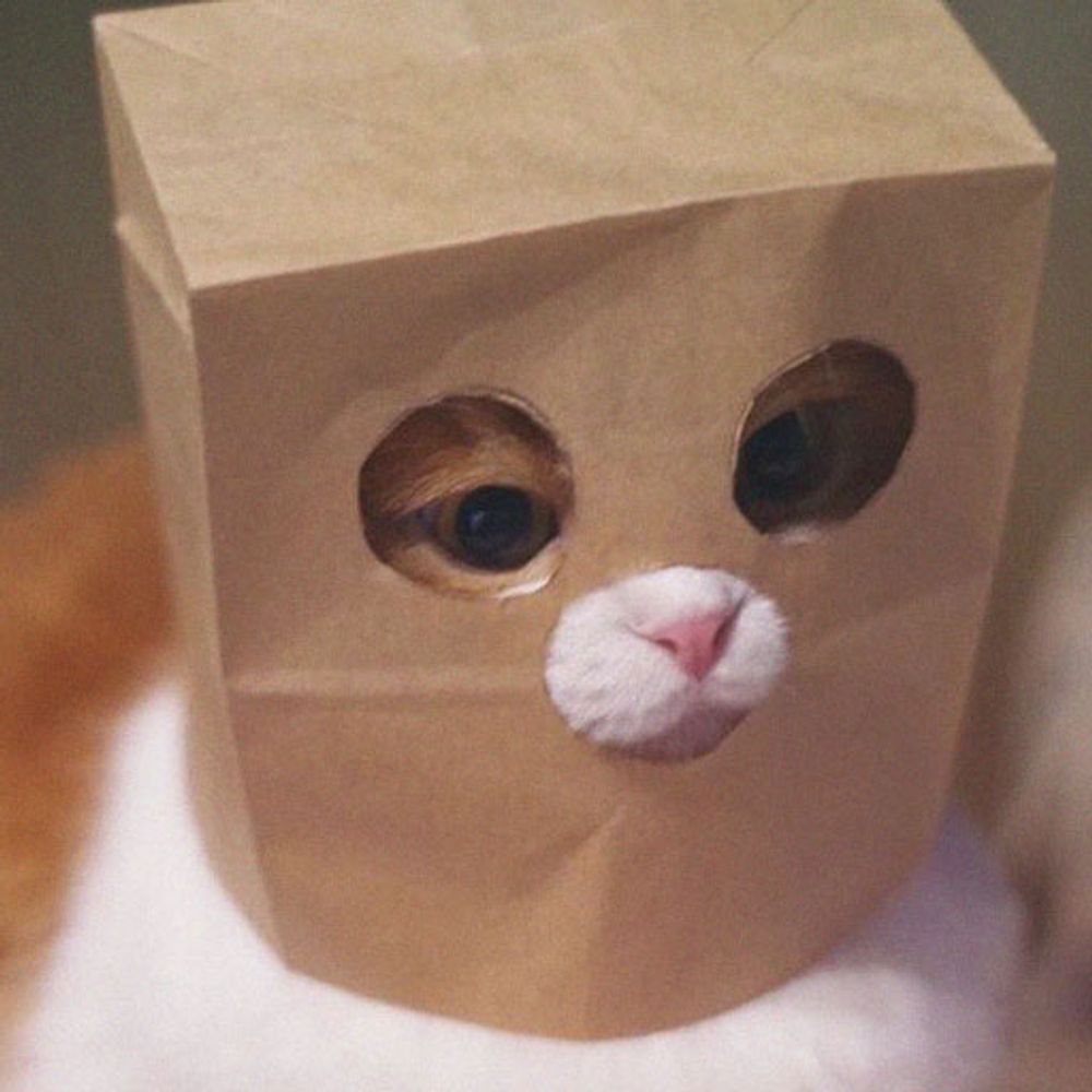 bahbot