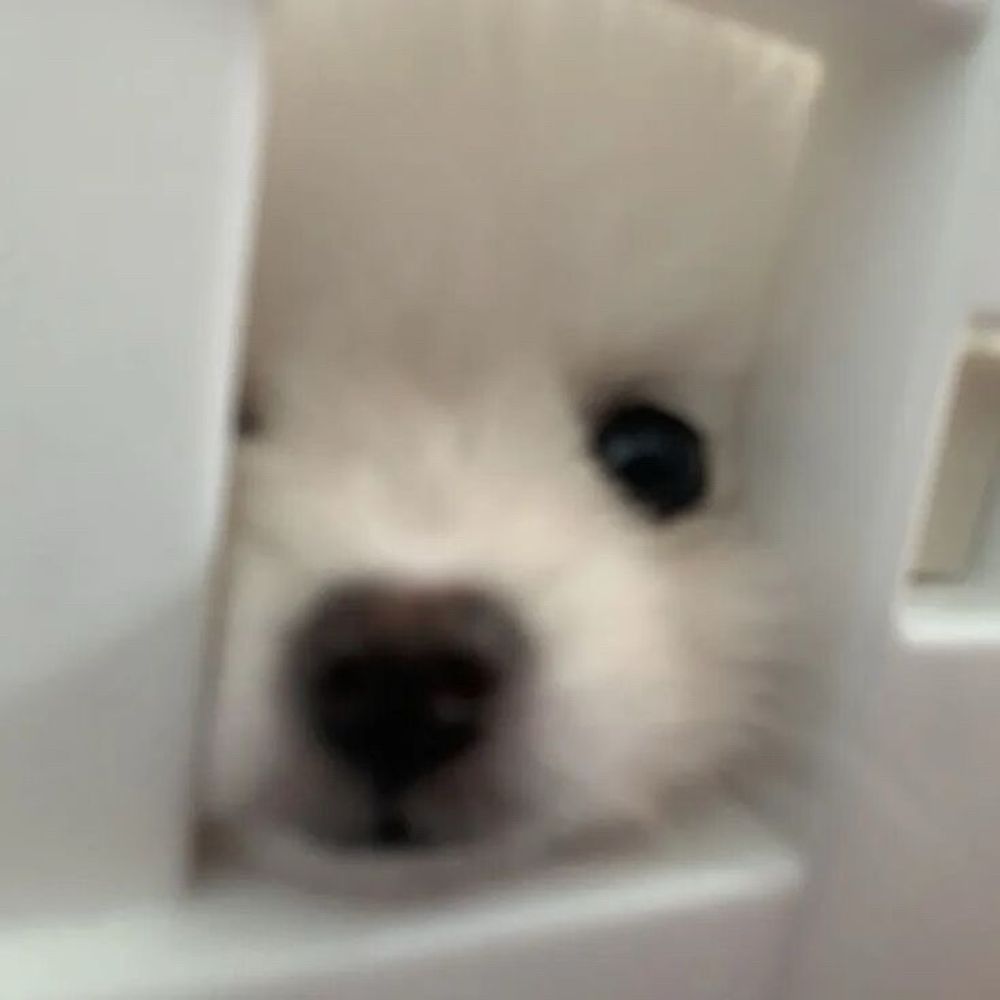 ㅍ