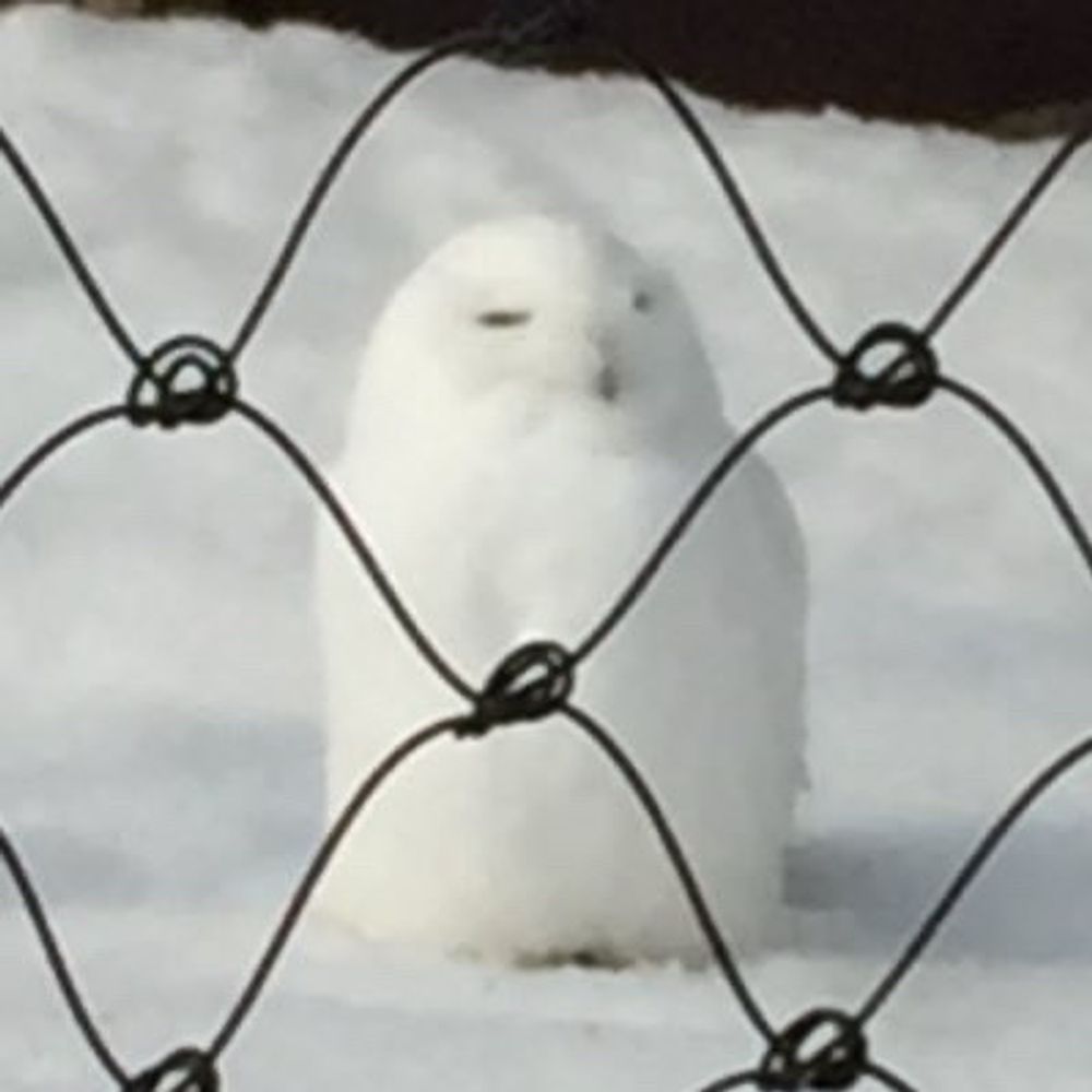 はちくん