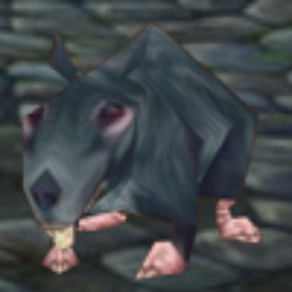 🏳️‍⚧️Level 1 Rat🏳️‍🌈