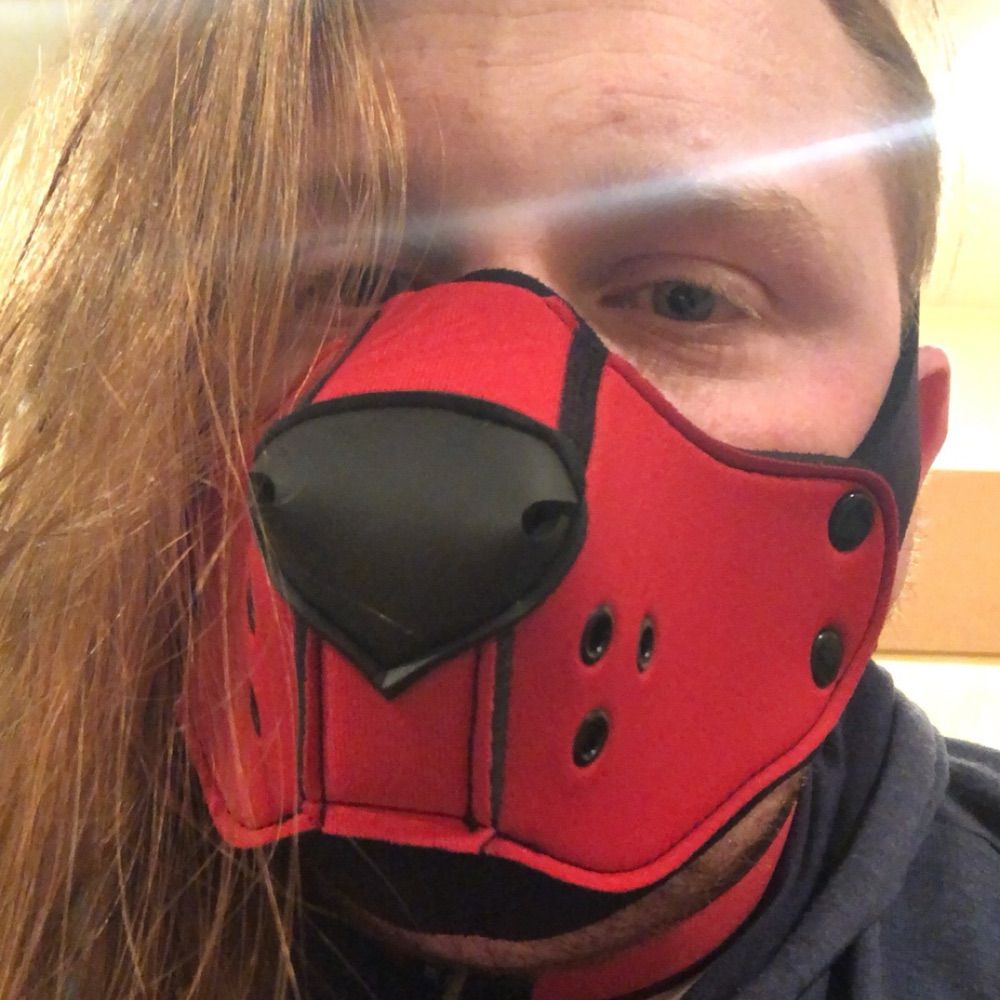 Pup Bandit (They/Them) 🐾
