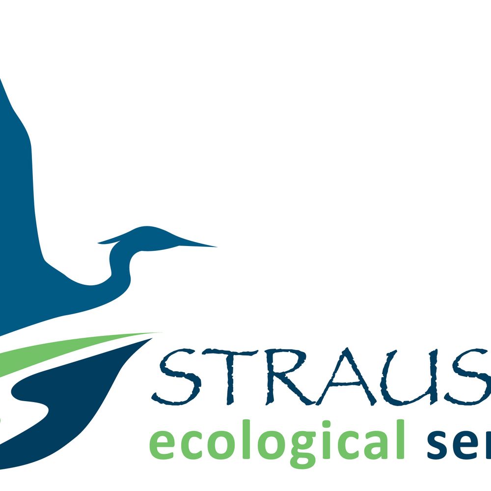 Profile picture straussecological.bsky.social