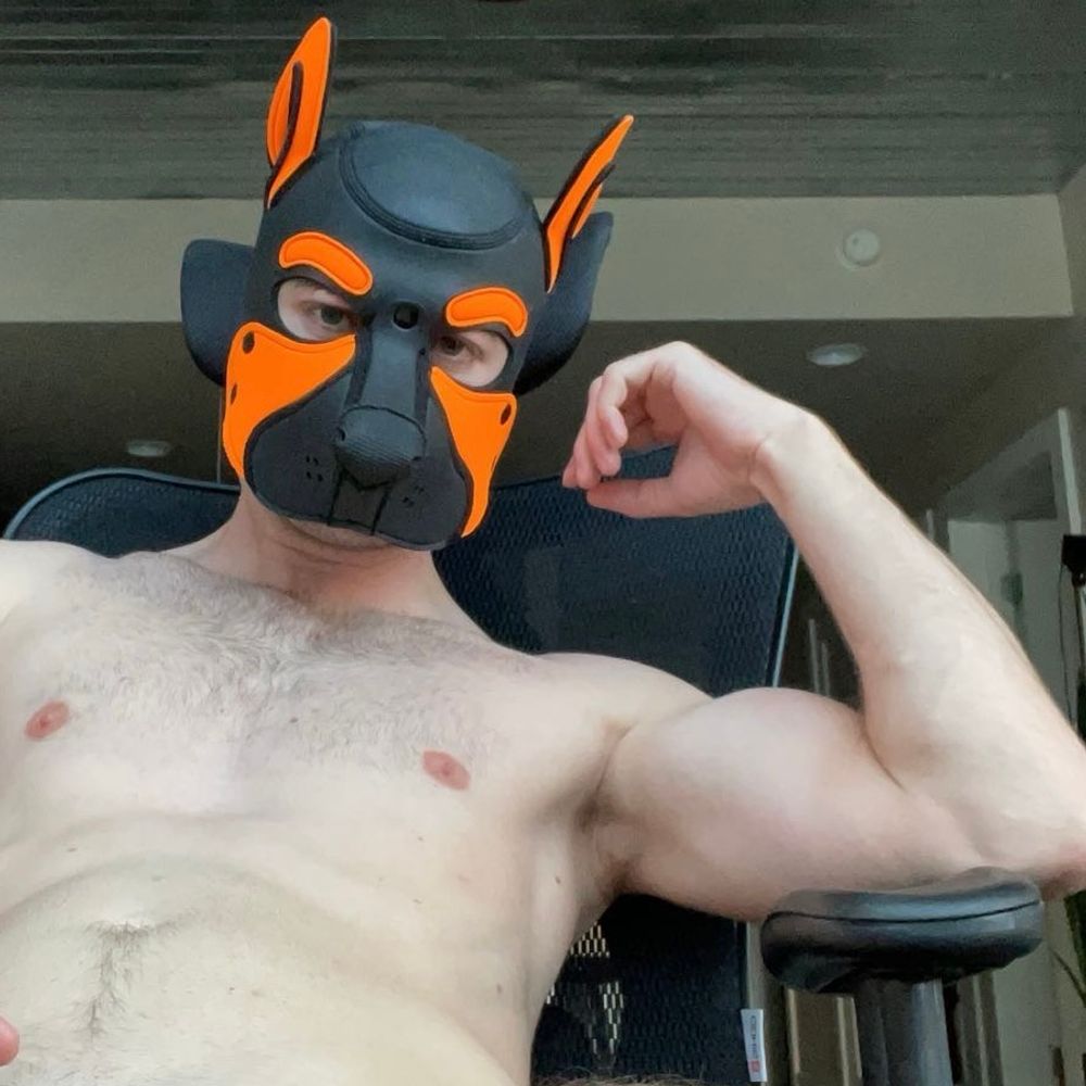 Pup Weaver 🐾