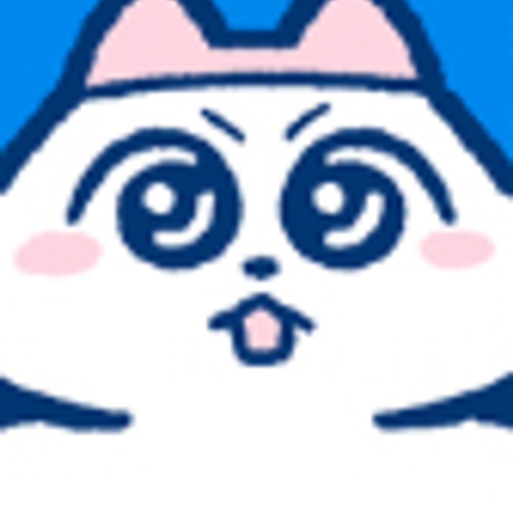 thejunkling.bsky.social profile picture
