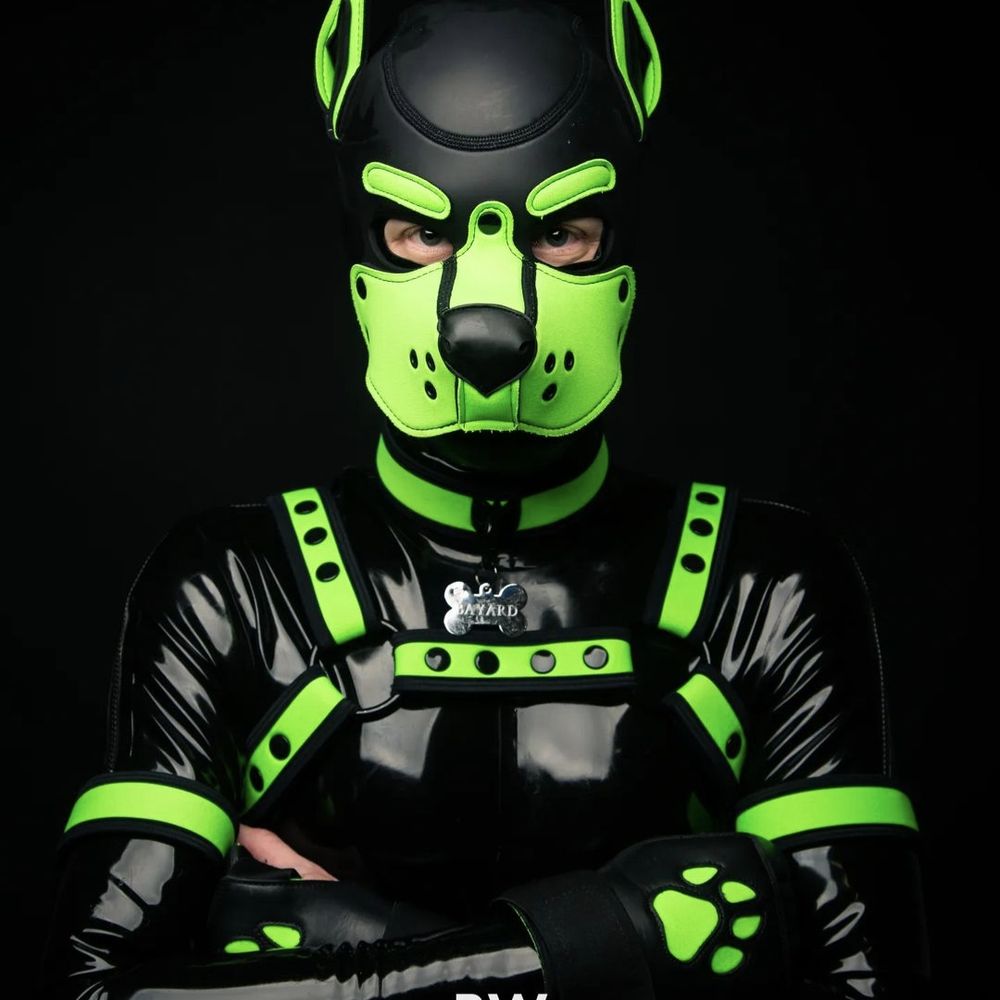 Pup Bayard / Rubberdoll Candy's avatar