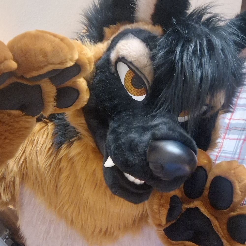 Fudgy Shepherd