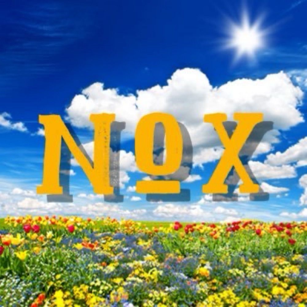 Nox Amicus