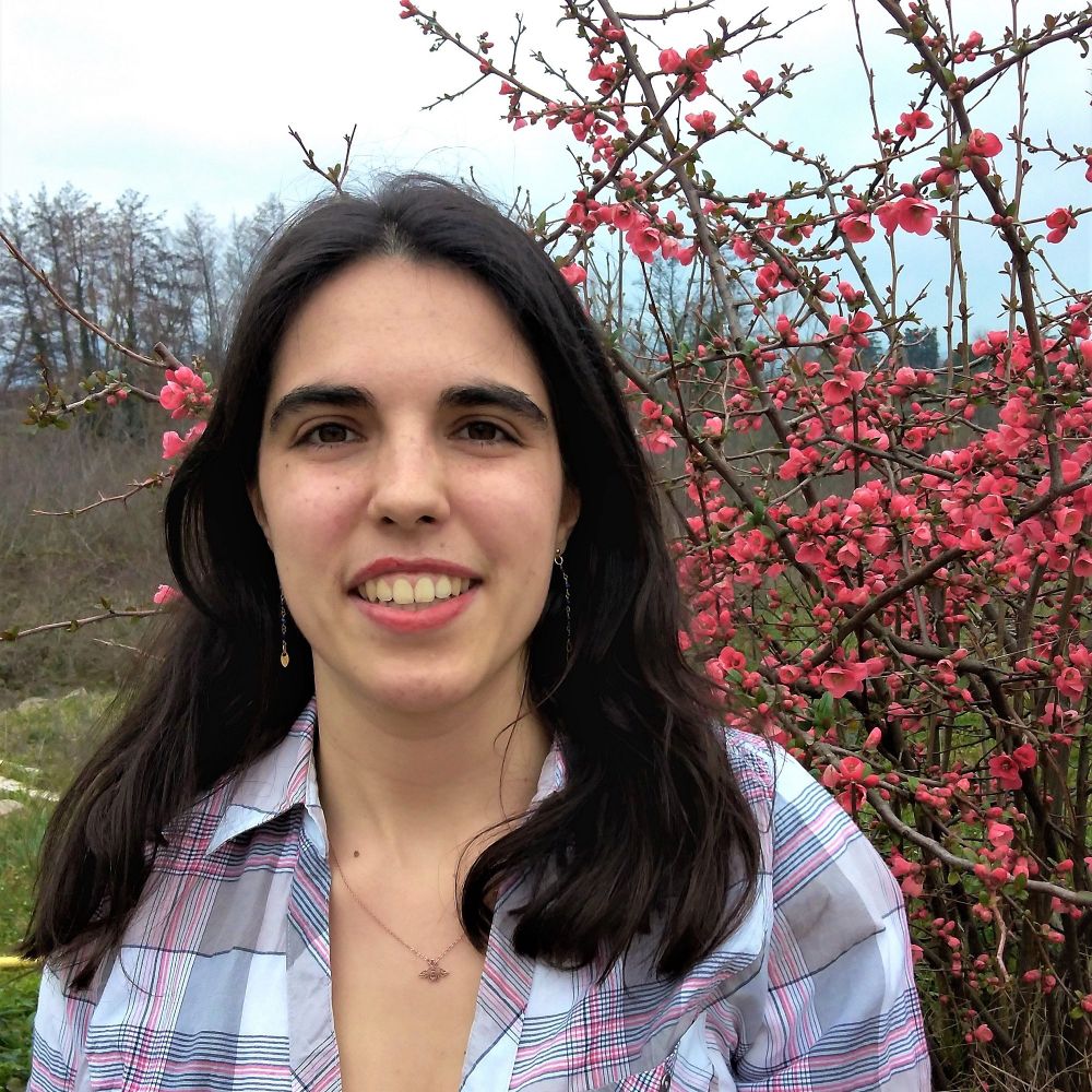 Sarah Tardif