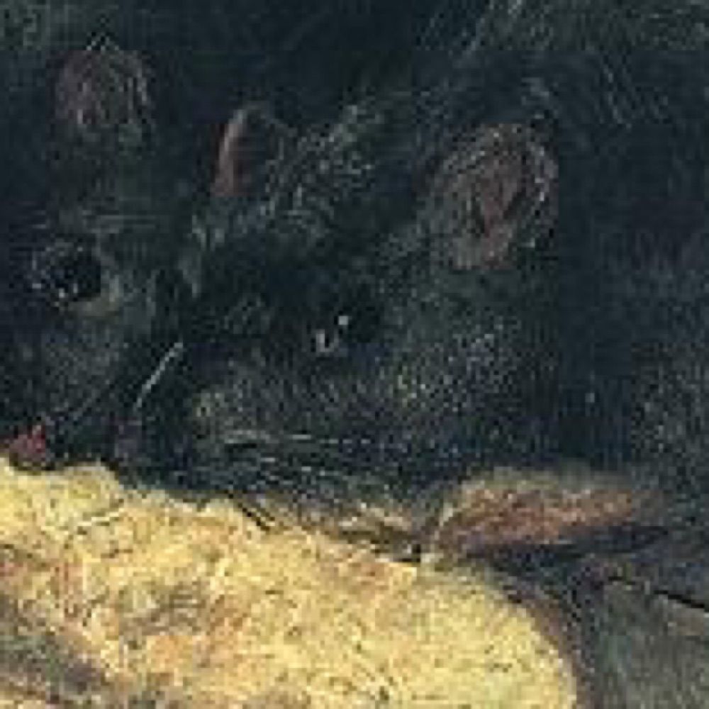 🐀