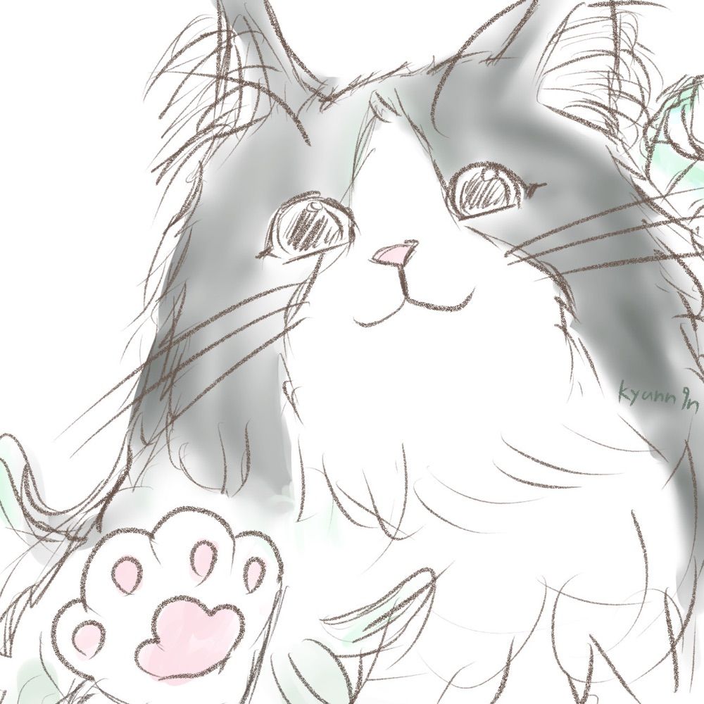 きゅん