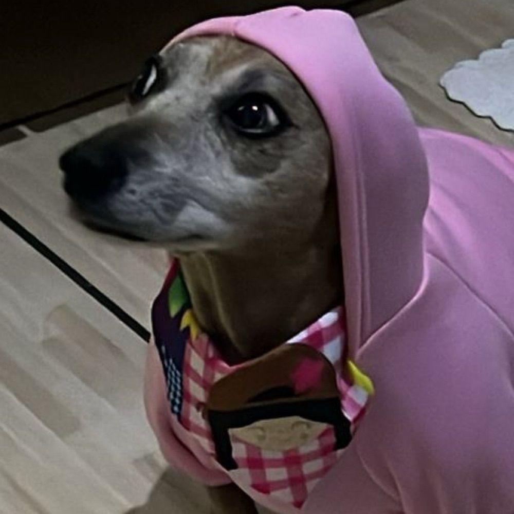 Gabi com g de gostosa 