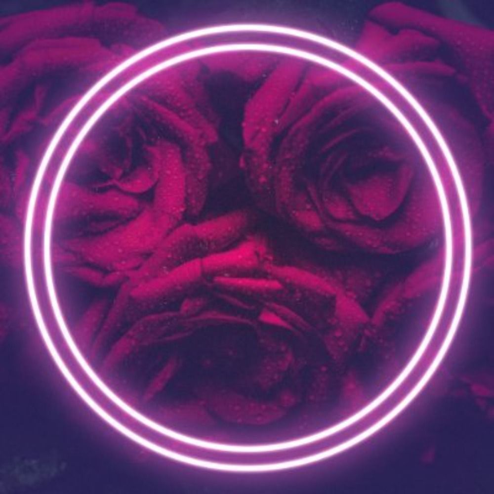 💜 Rose💕Virage 💙