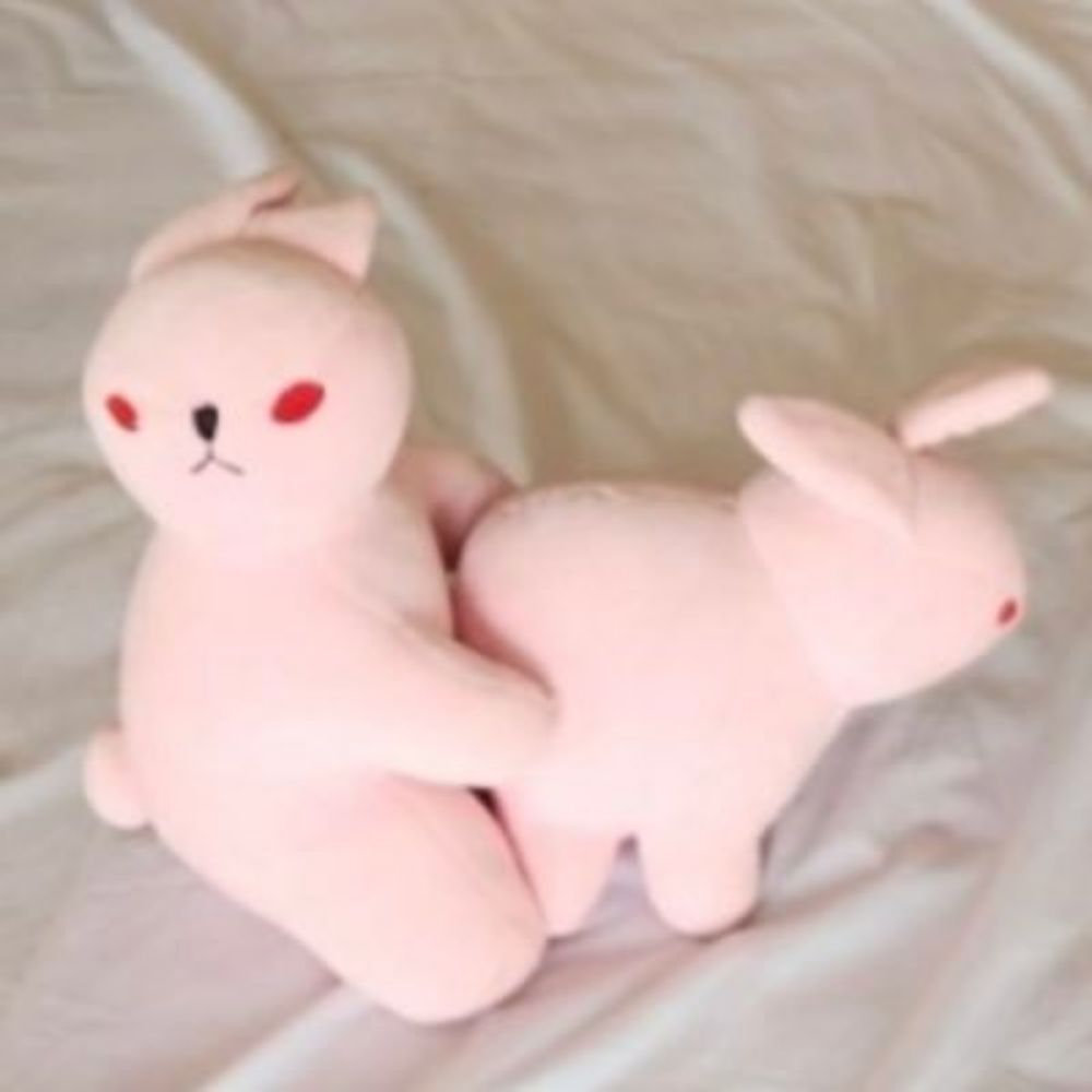 토끼🐰BUBU