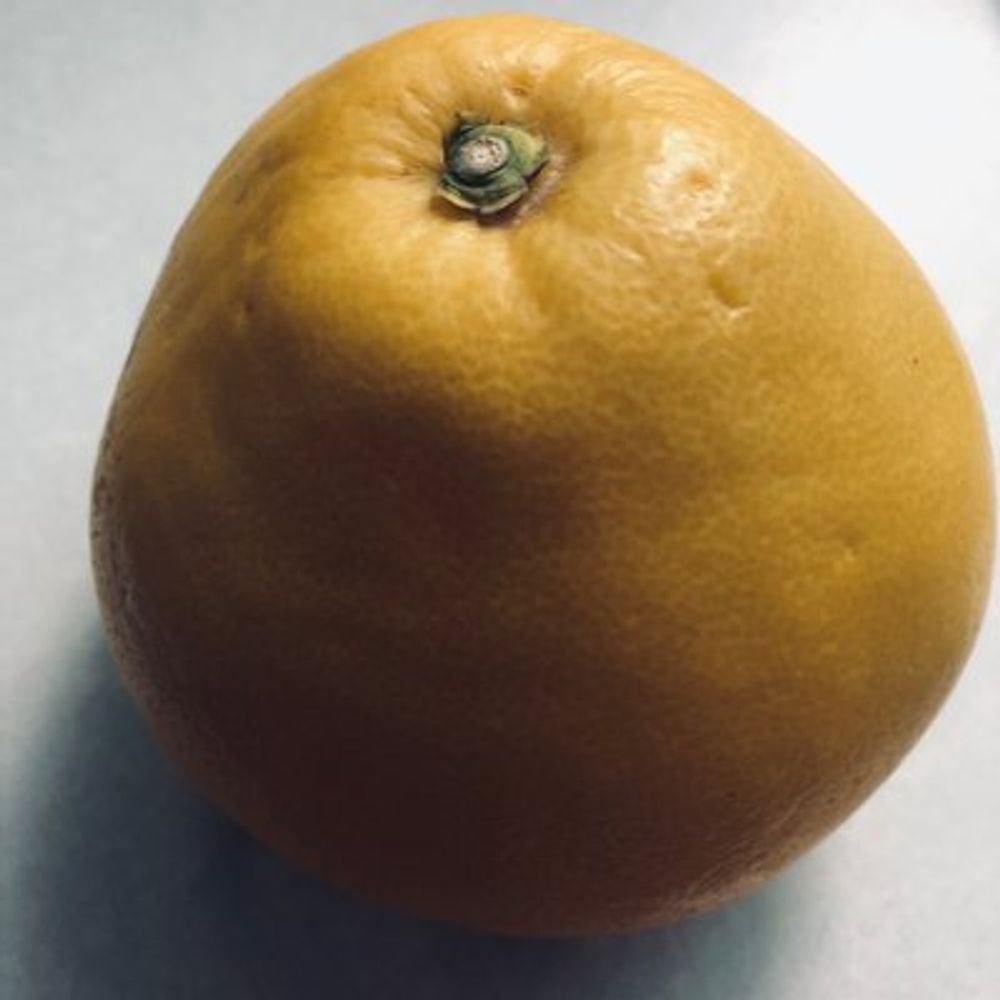 笹沼
