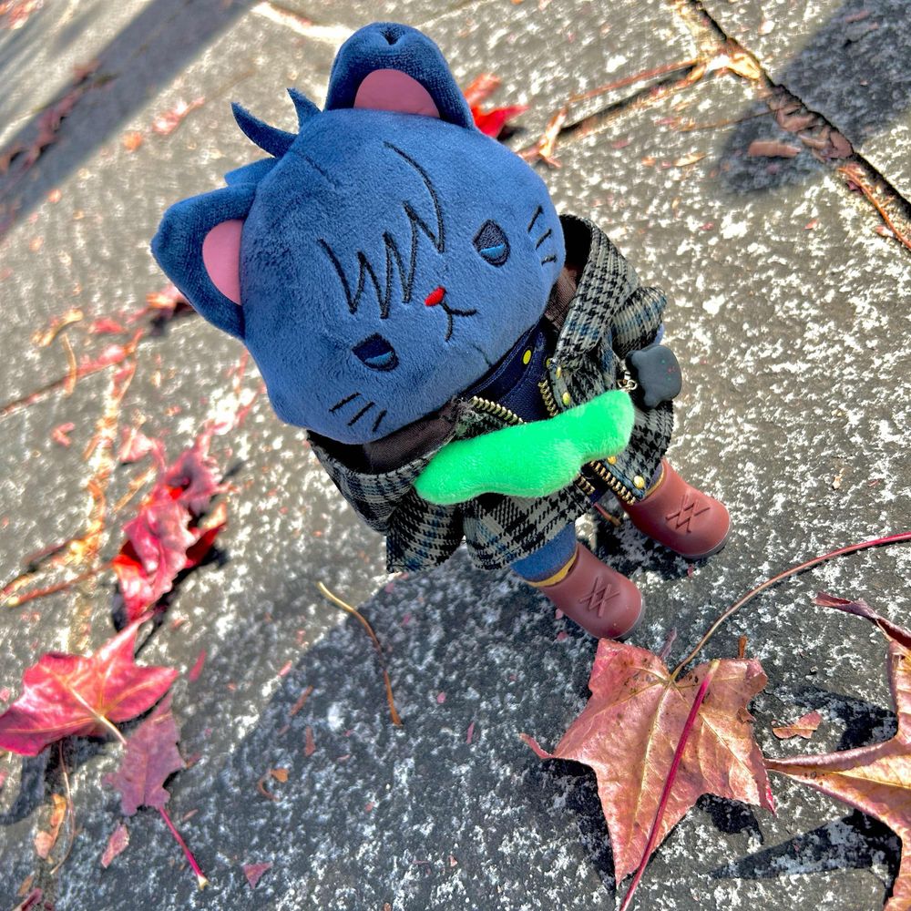 あがちょー