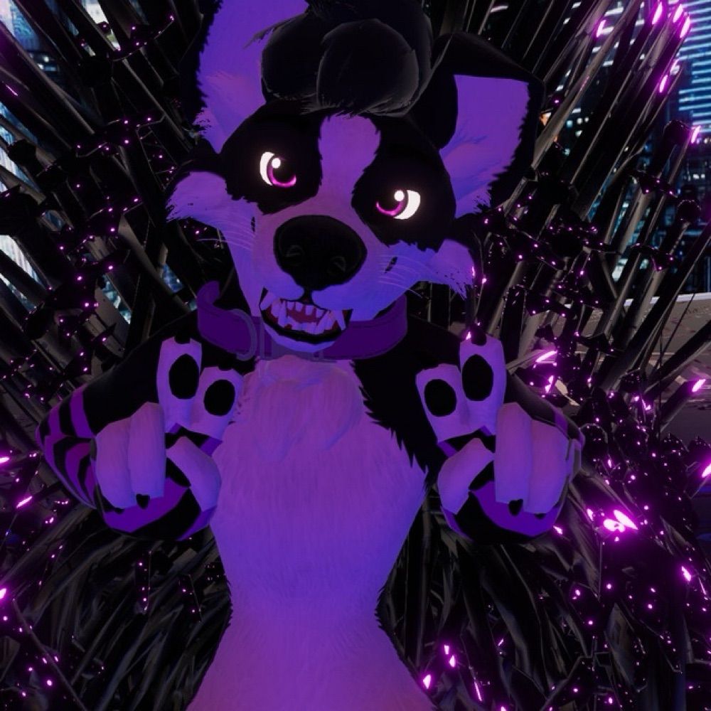 Bo