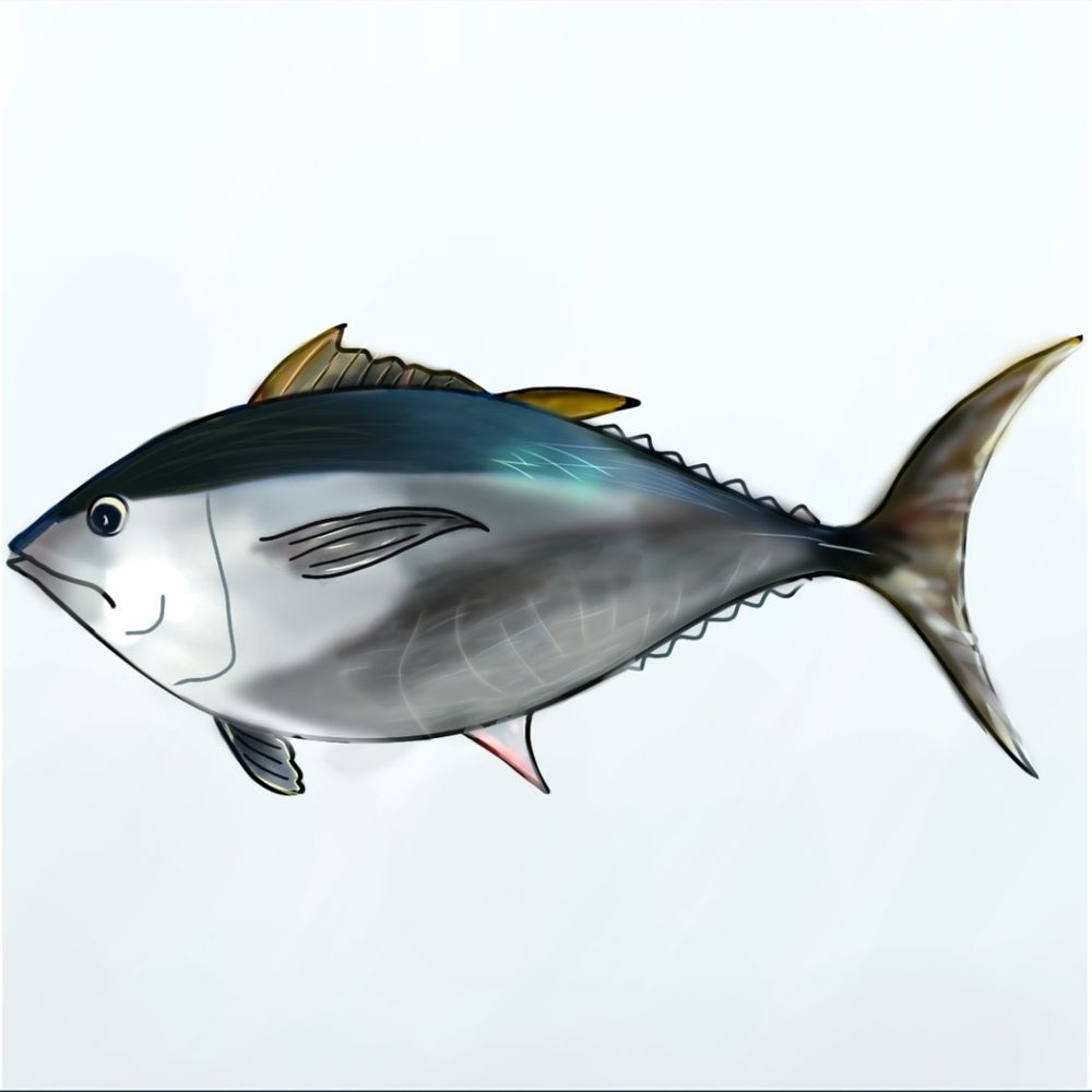 綱崎太紀（つなさきだいき）/ﾏｸﾞﾛﾉｻｼﾐ