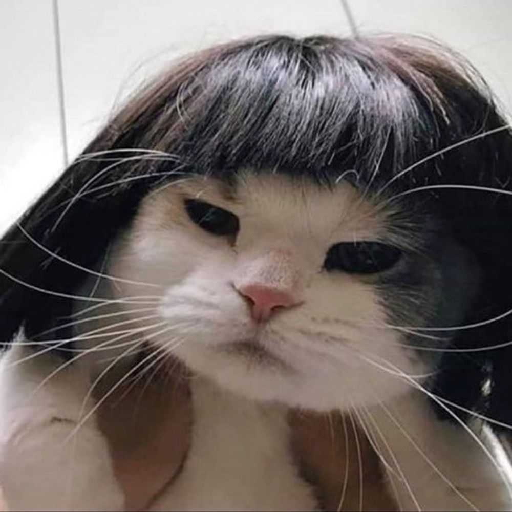 고로