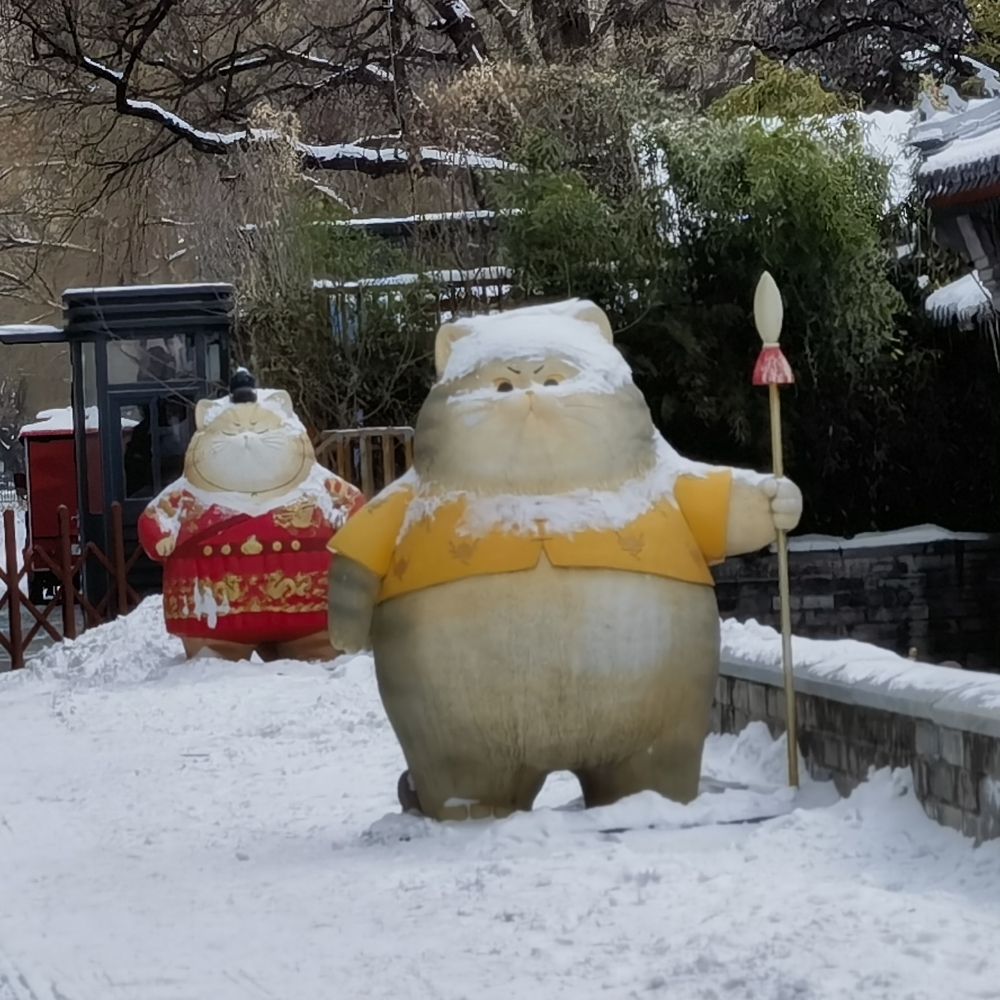 胖迅gz
