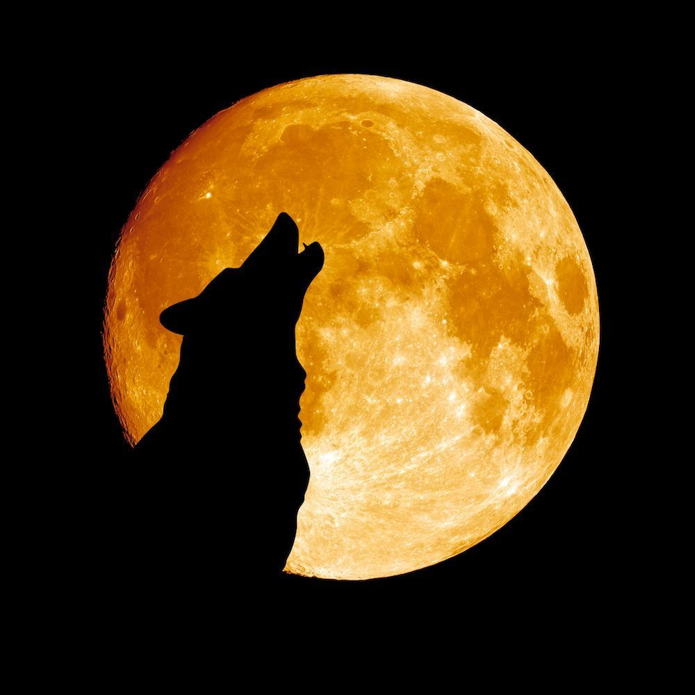 WolfAstro