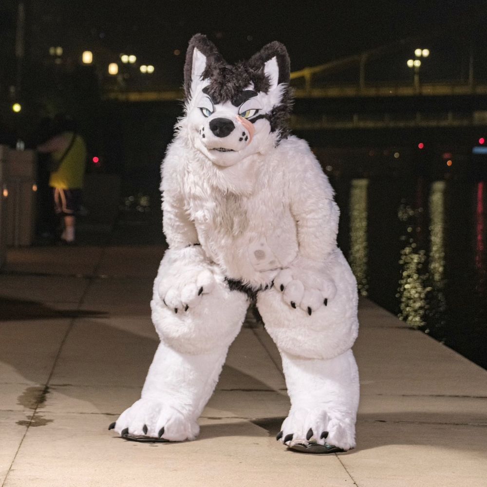 Kaidwolf