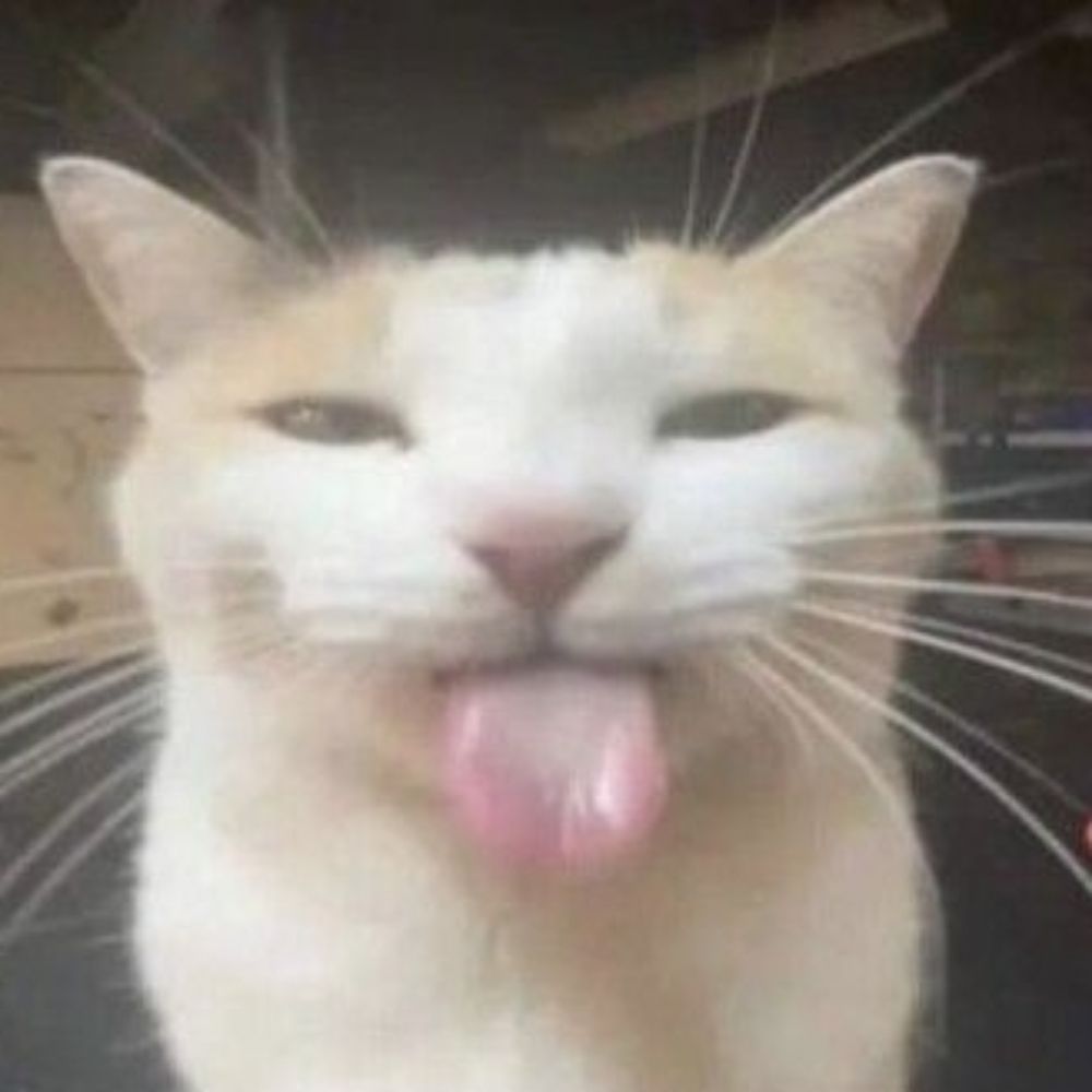 Astii
