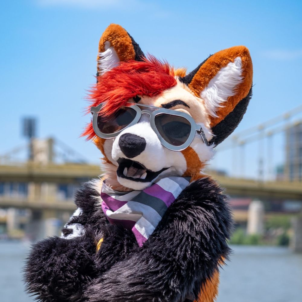 tripp THE philly wahdoggo