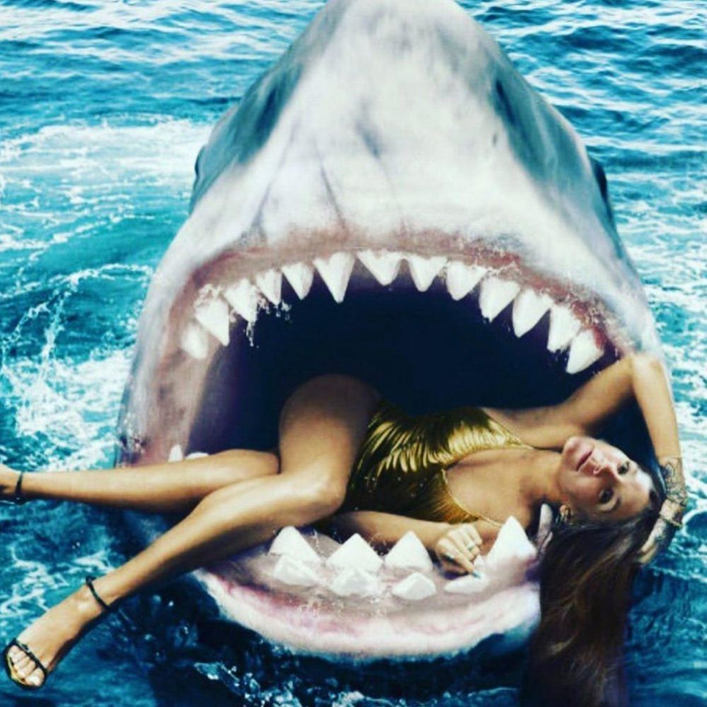 Lisa🦈