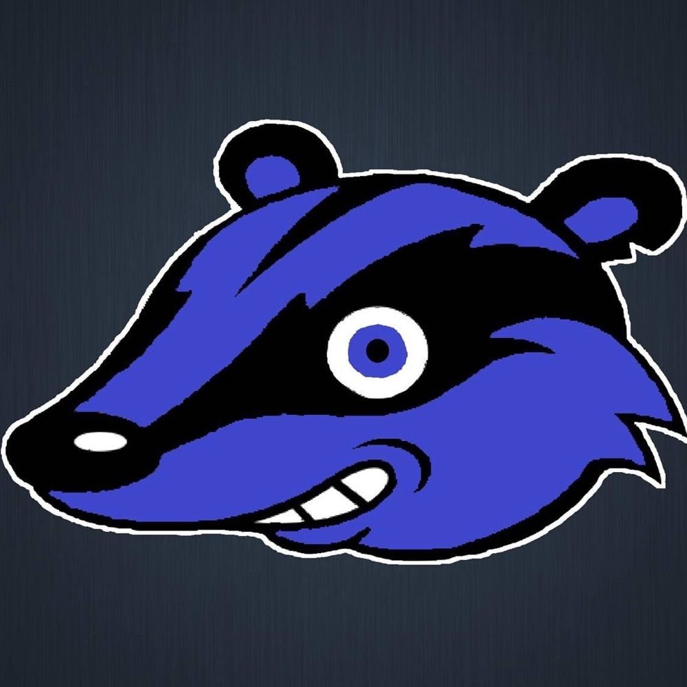 TheBlueBadger