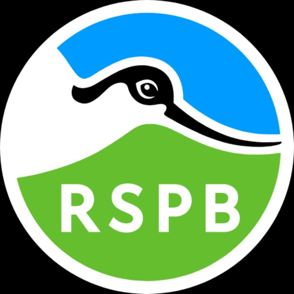 RSPB's avatar