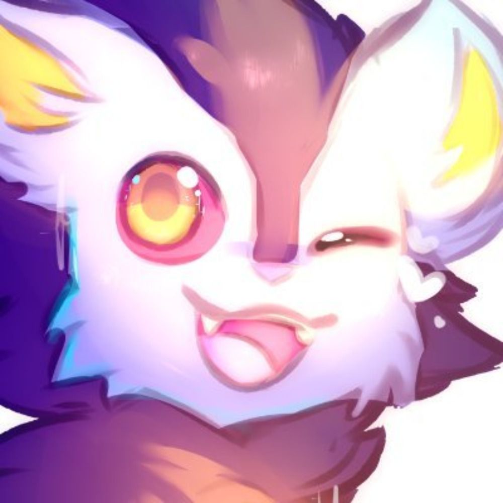 Rayn