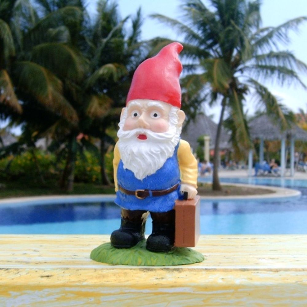 Roamin' Gnome